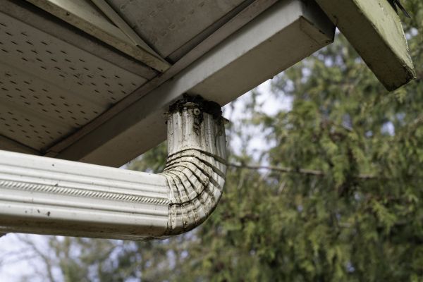Cost of Roof Drain Replacement in Royal Oak